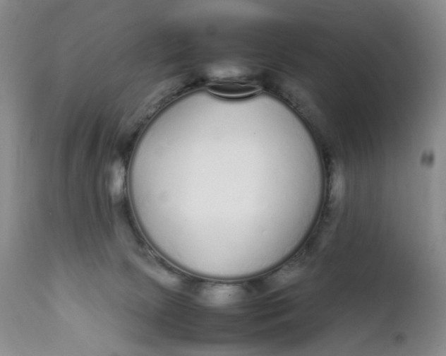 X0000112040081200908241613