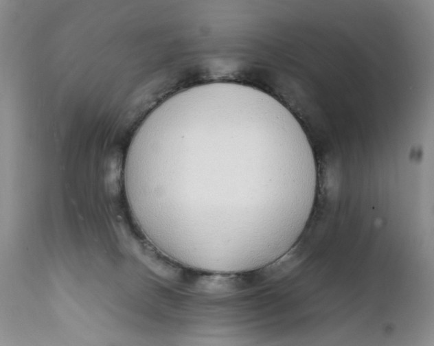 X0000112040082200908241613