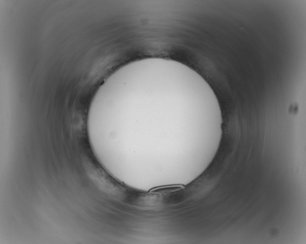 X0000112040084200908241613