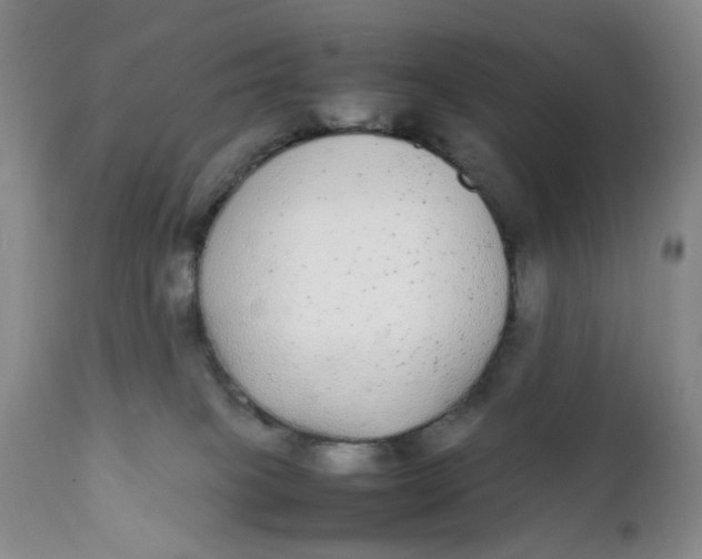 X0000112040085200908241613