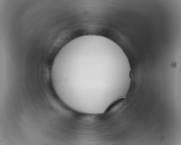 X0000112040086200908241613