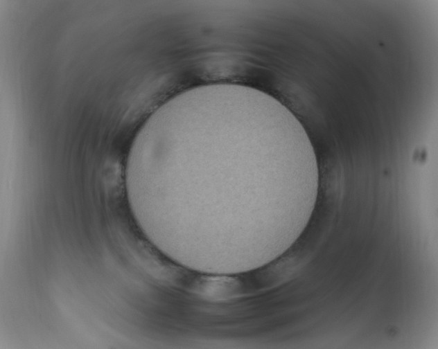 X0000112040087200908241613