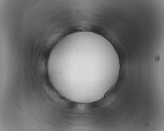 X0000112040088200908241613