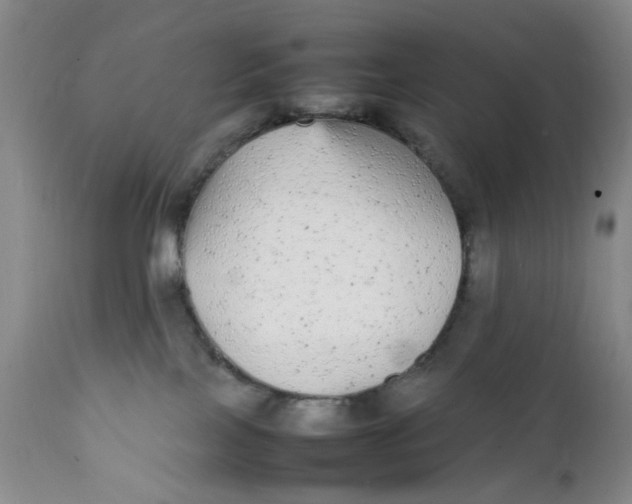 X0000112040089200908241613