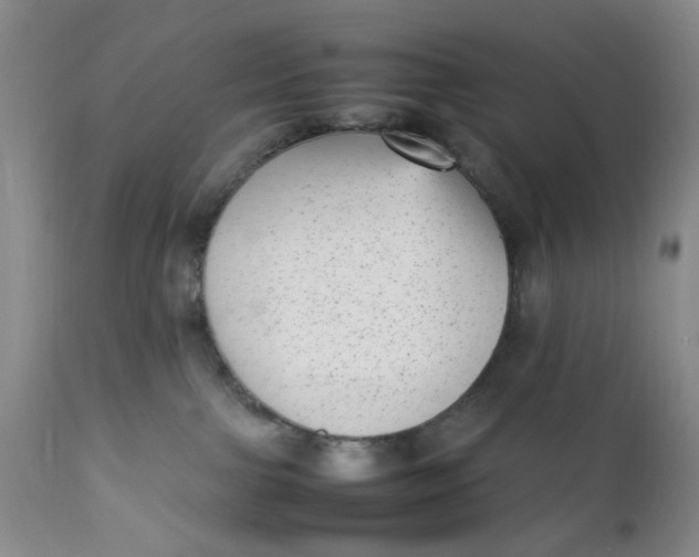 X0000112040091200908241613