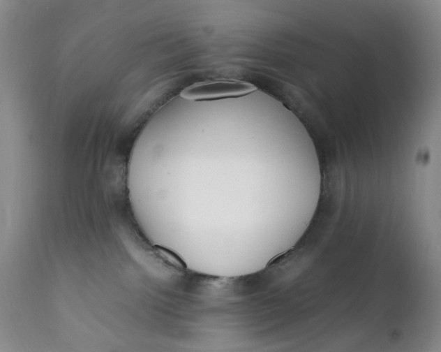 X0000112040092200908241613