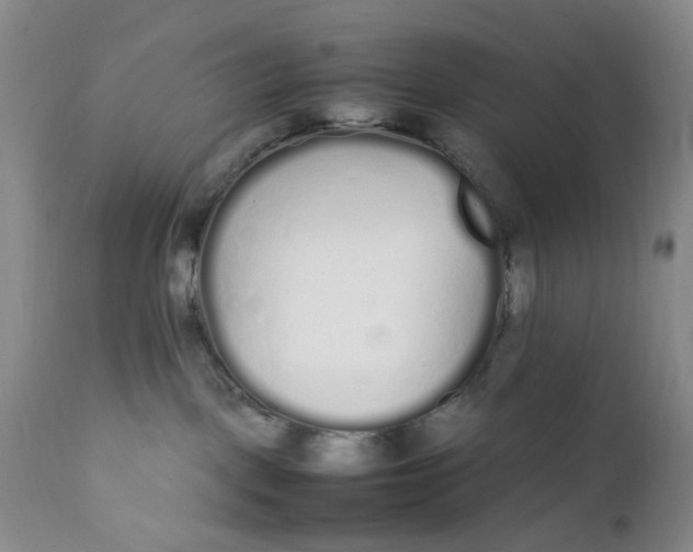 X0000112040093200908241613