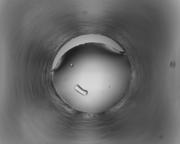 X0000112040096200908241613
