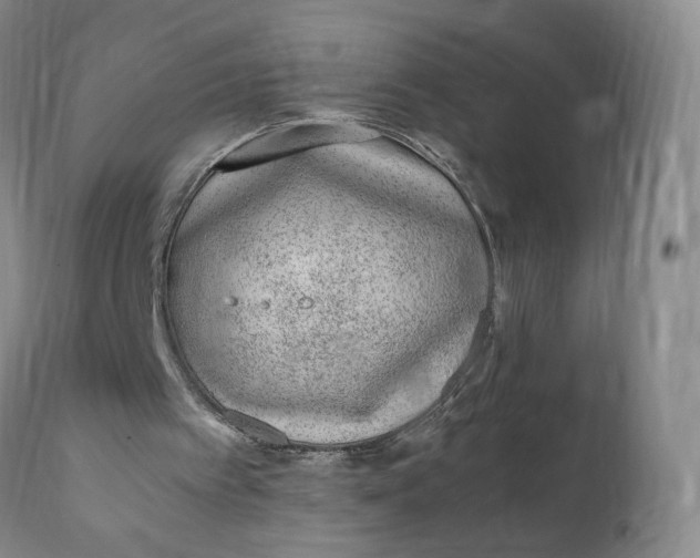 X0000112040097200908241612