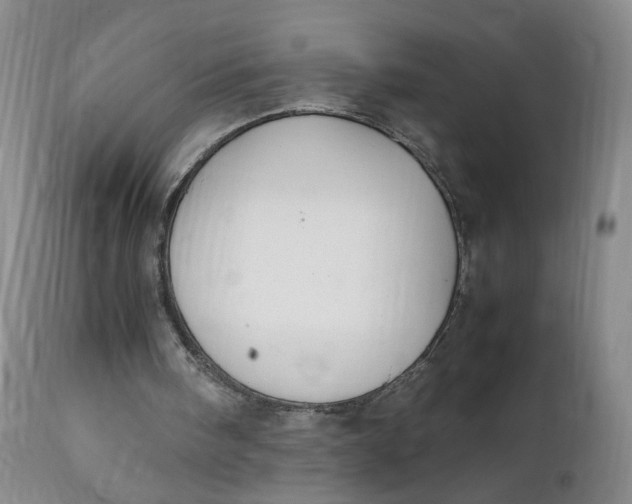 X0000112040098200908241612