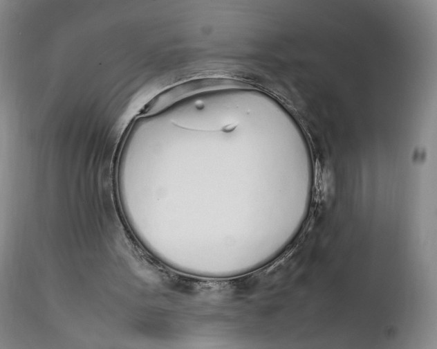 X0000112040099200908241612
