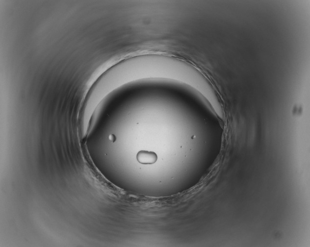 X0000112040100200908241612