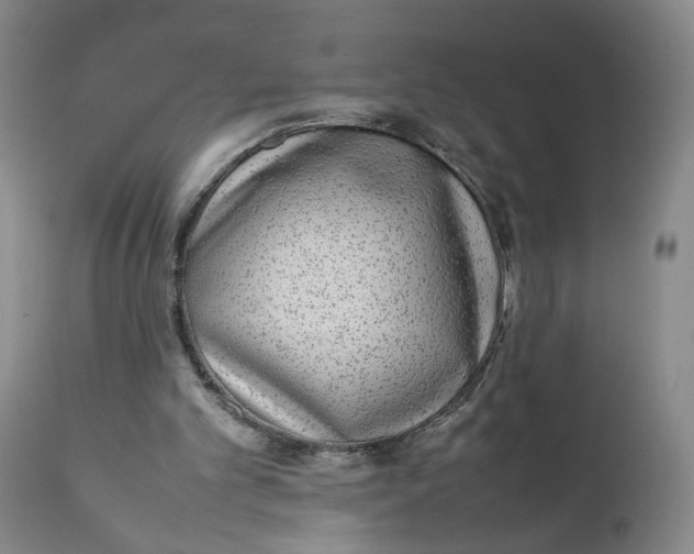 X0000112040101200908241612