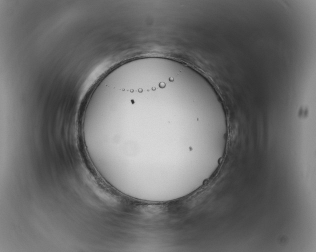 X0000112040102200908241612