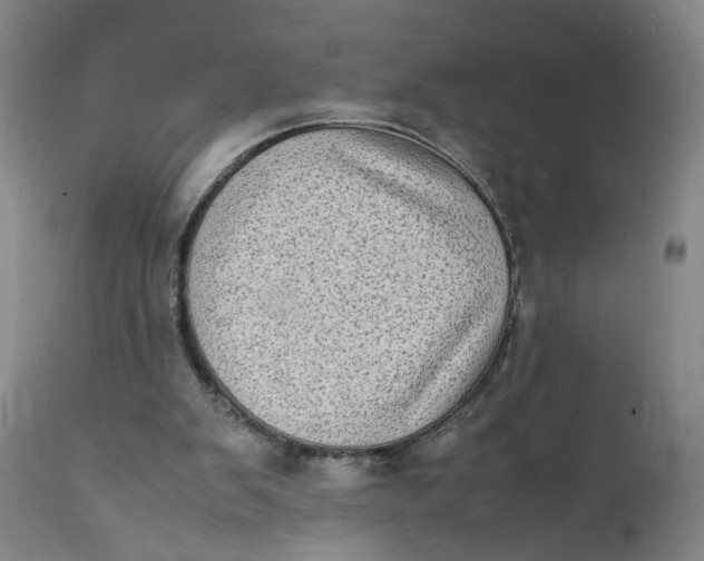 X0000112040103200908241612