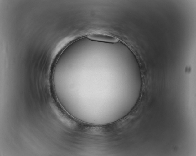 X0000112040104200908241612