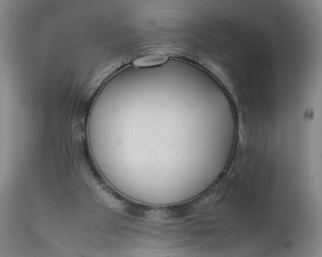 X0000112040105200908241612