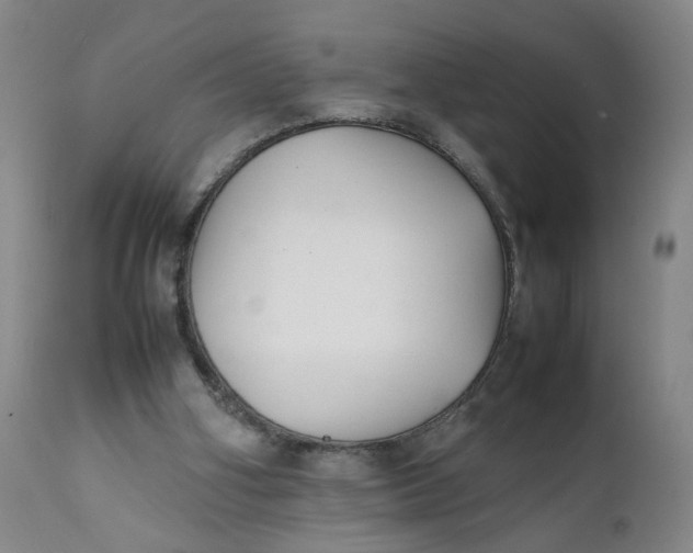 X0000112040106200908241612