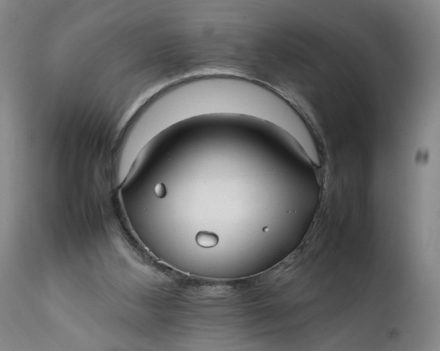 X0000112040108200908241612