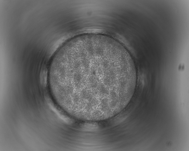 X0000112040110200908241612