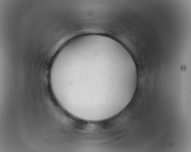 X0000112040111200908241612