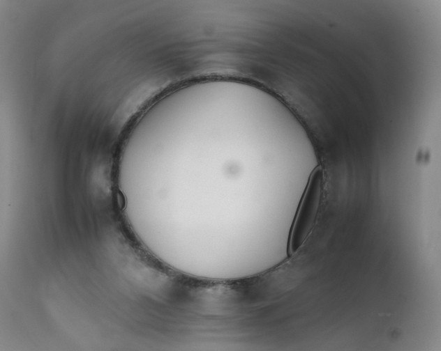 X0000112040112200908241612