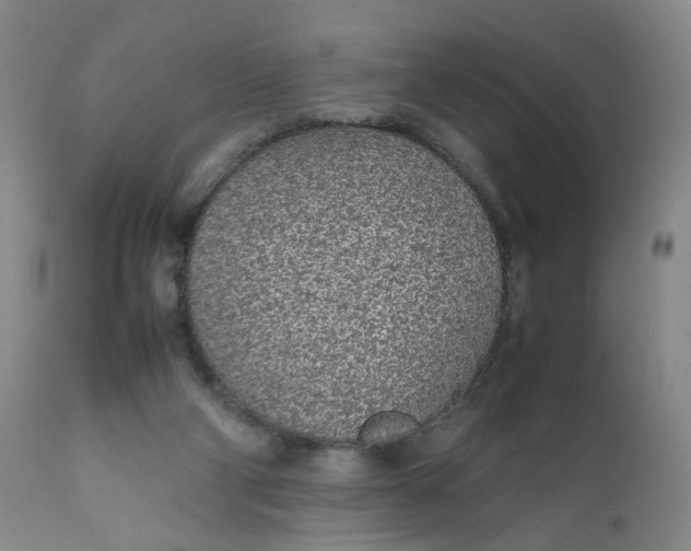 X0000112040114200908241612