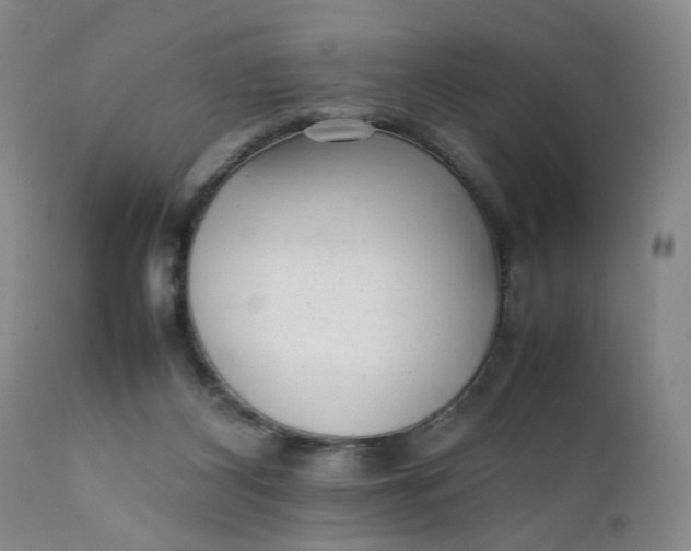X0000112040116200908241612