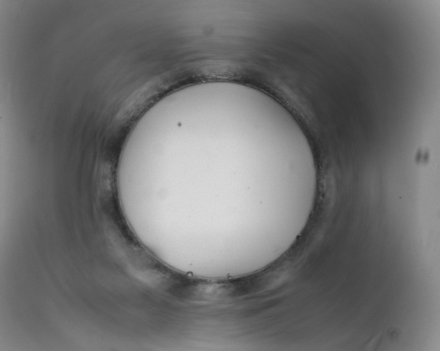 X0000112040117200908241612