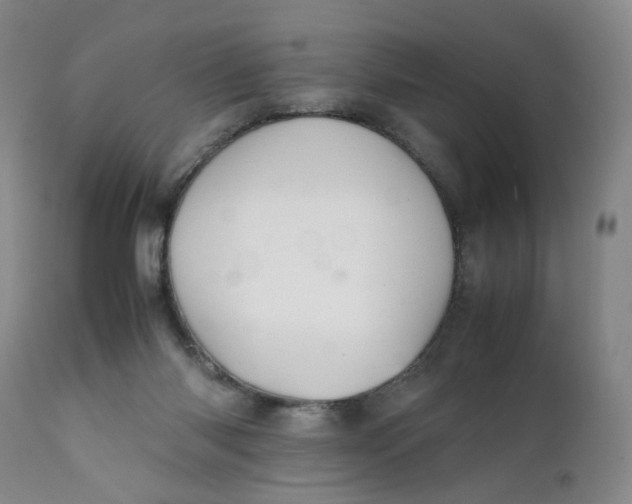 X0000112040118200908241612
