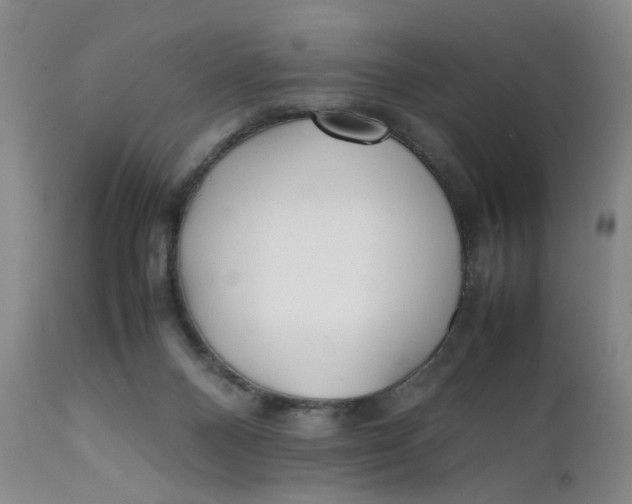 X0000112040120200908241612