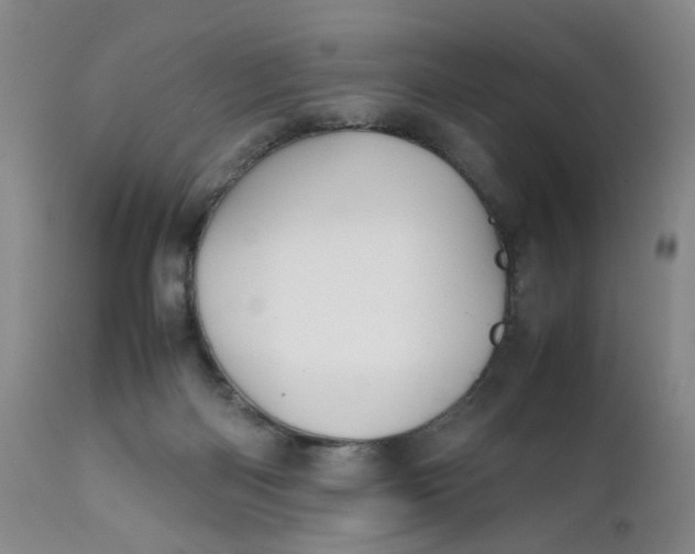 X0000112040122200908241612