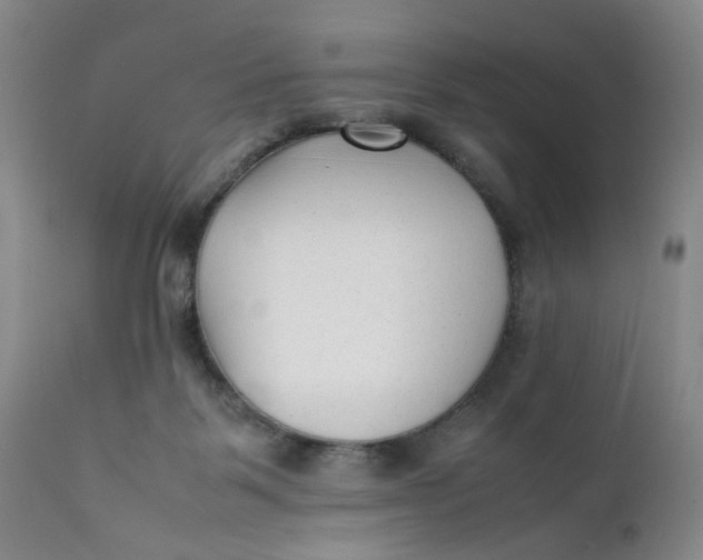 X0000112040123200908241612