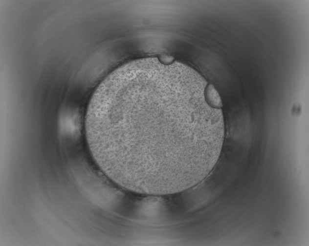 X0000112040124200908241612