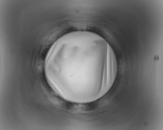 X0000112040125200908241612