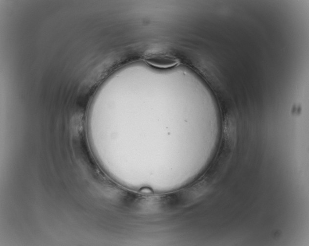 X0000112040127200908241612