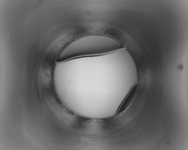 X0000112040128200908241612