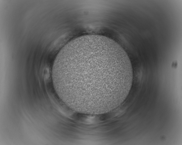 X0000112040130200908241612