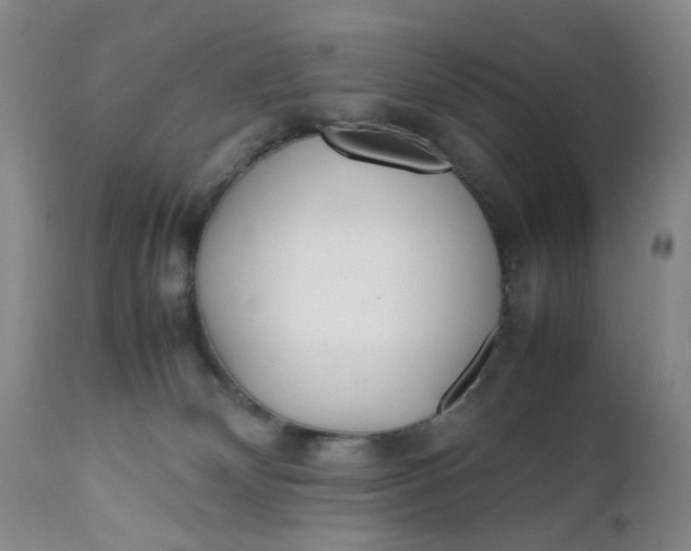 X0000112040132200908241612