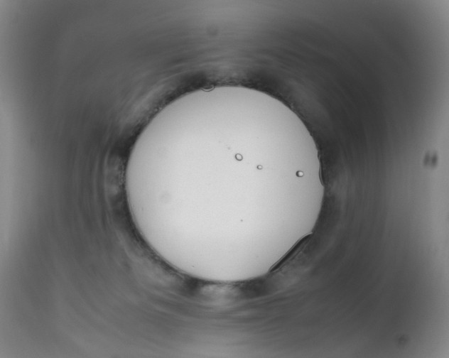X0000112040133200908241612