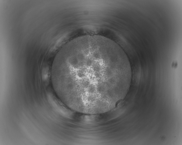 X0000112040134200908241612