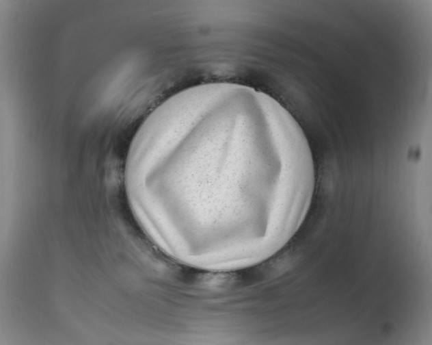 X0000112040135200908241612
