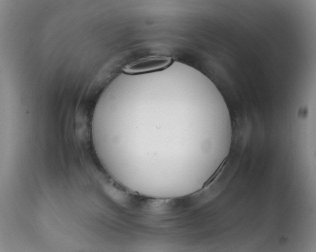 X0000112040136200908241612