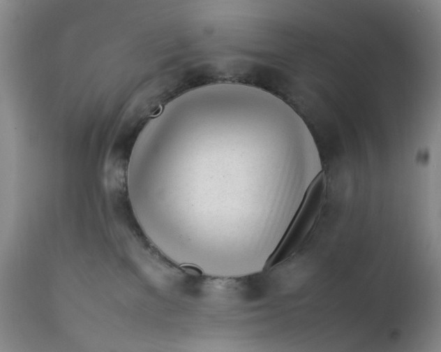 X0000112040137200908241612
