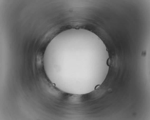 X0000112040138200908241612