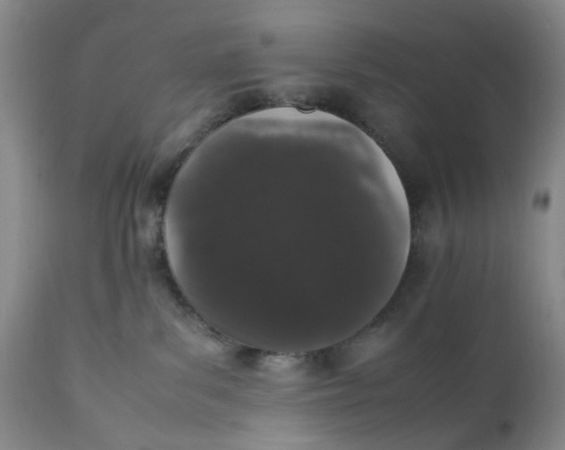 X0000112040139200908241612
