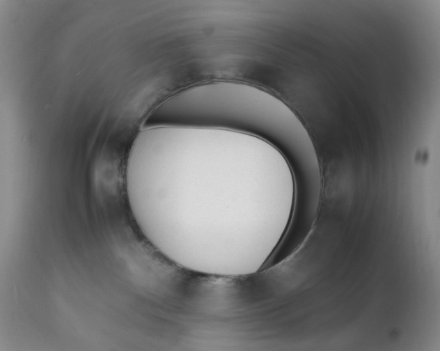 X0000112040140200908241612