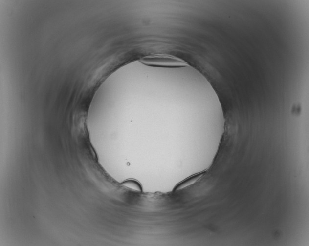 X0000112040141200908241612