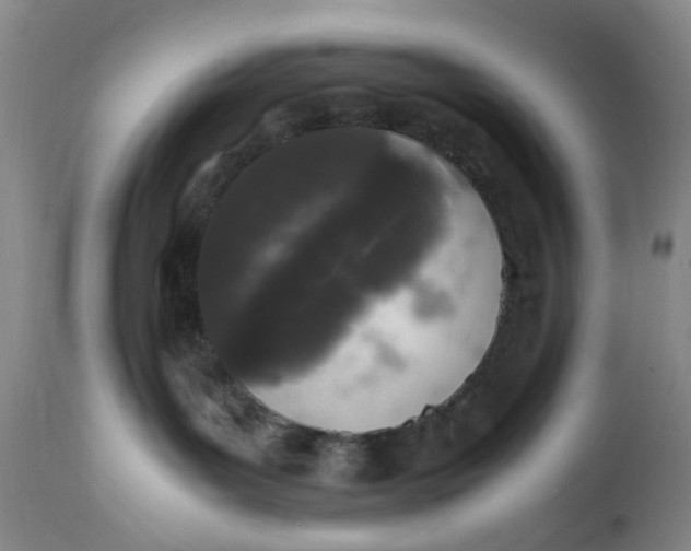 X0000112040143200908241612