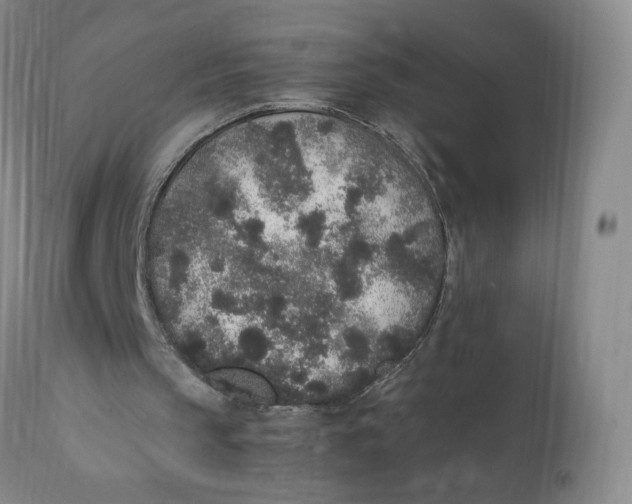 X0000112040145200908241611